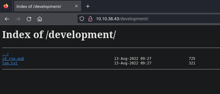 Website Development Page